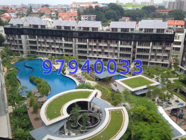 Flamingo Valley thumbnail photo